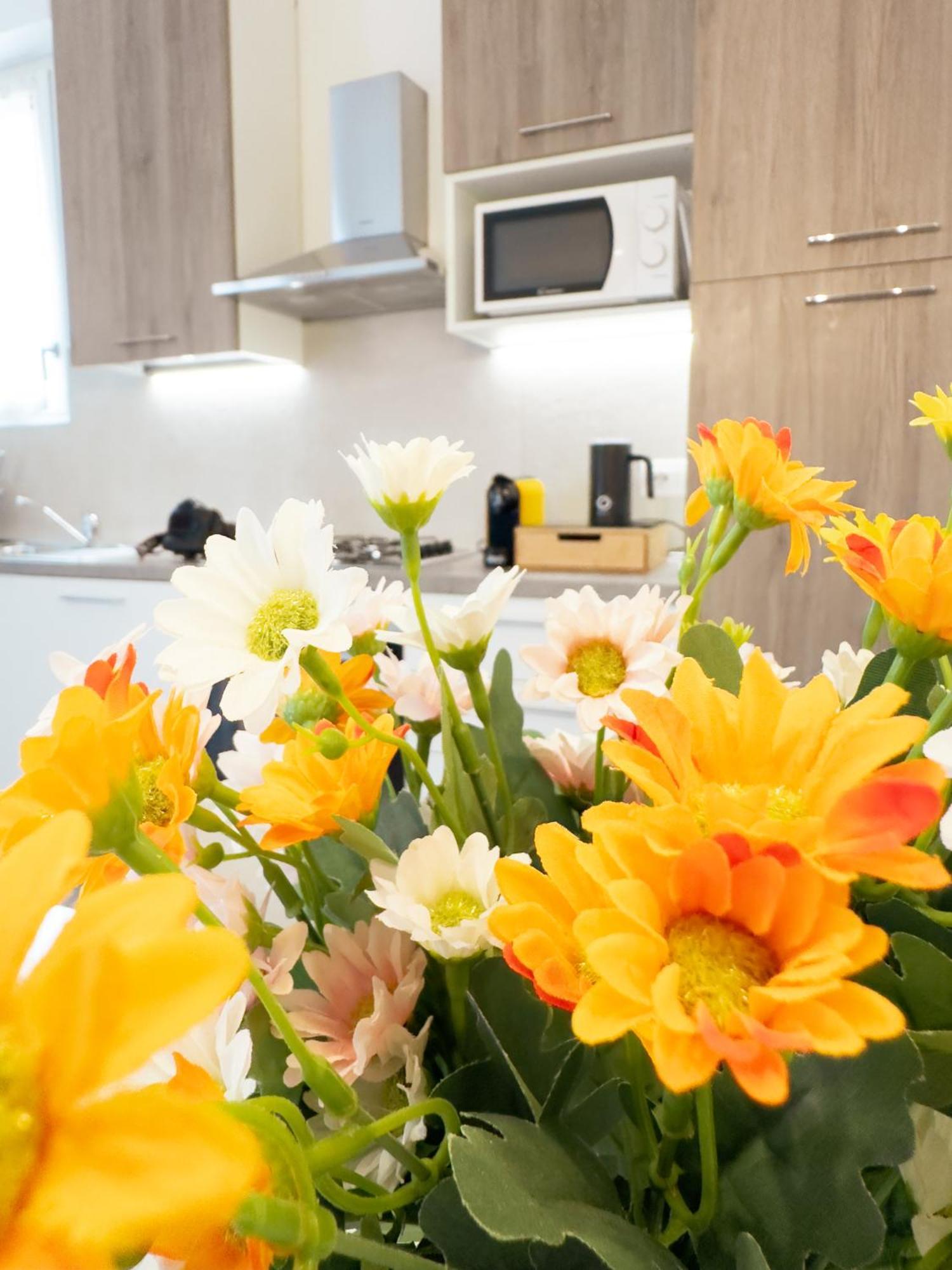 Comfort Apartment Verona Bagian luar foto